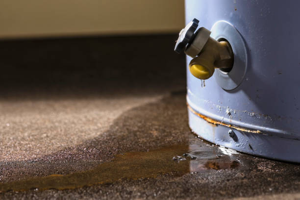 Best Local water damage restoration  in Olympia Fields, IL