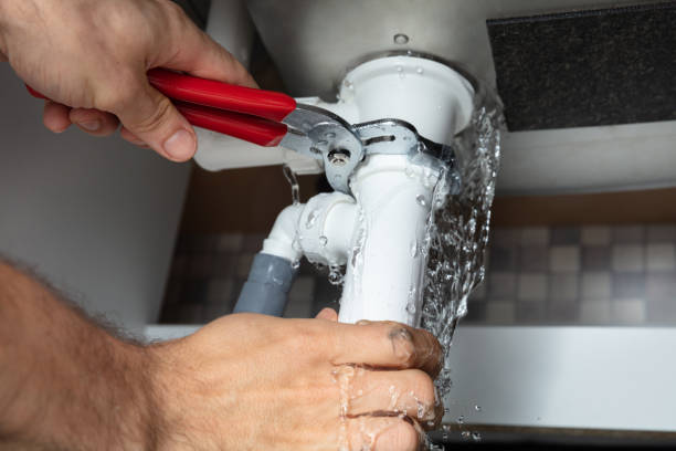 Best Commercial water damage restoration  in Olympia Fields, IL