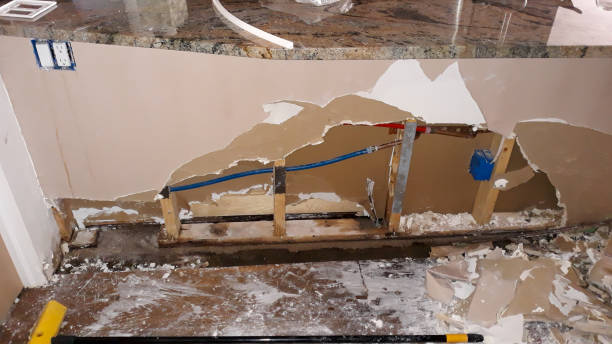 Best Ceiling water damage repair  in Olympia Fields, IL