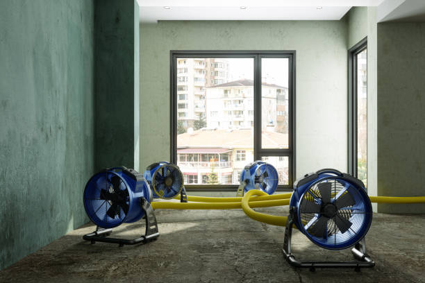 Best Fire Damage Restoration  in Olympia Fields, IL