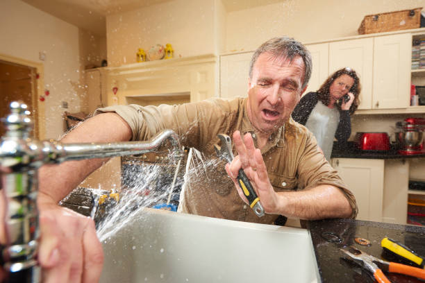 Best Water damage contractors near me  in Olympia Fields, IL